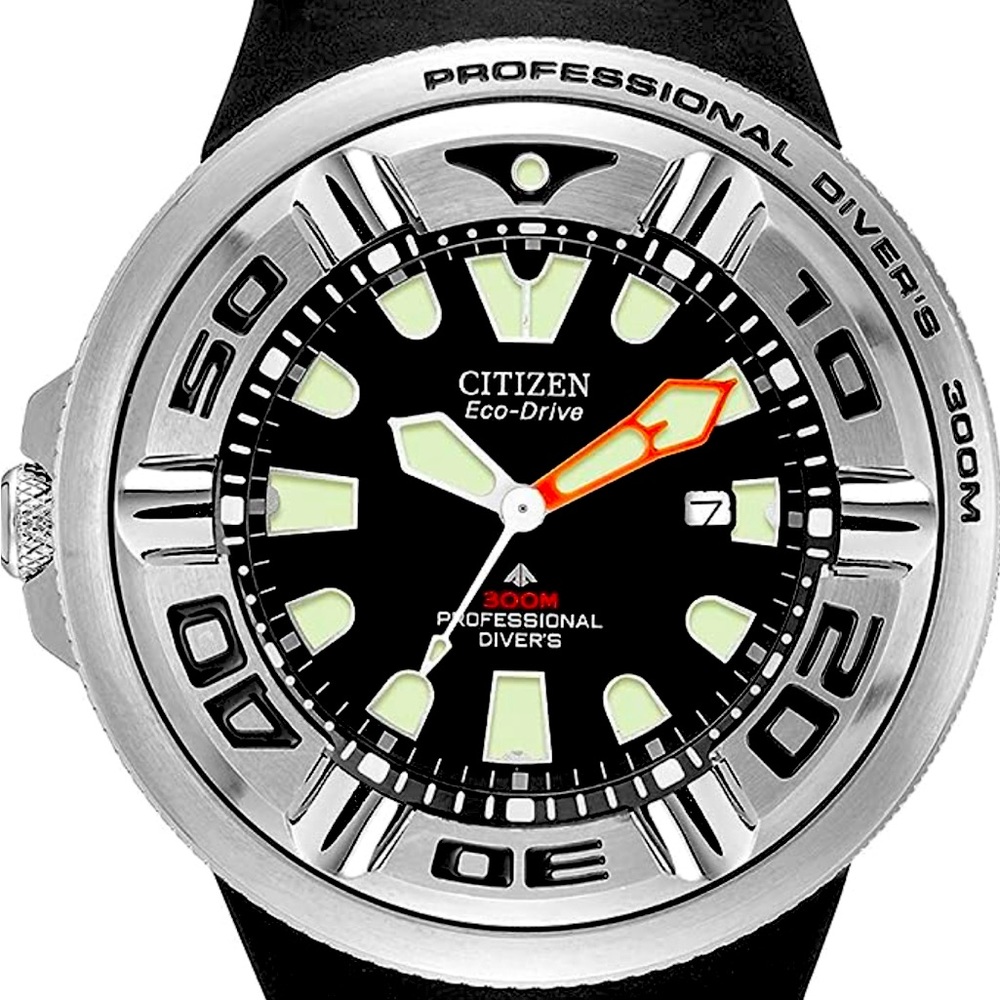 Citizen Divers Watch “Ecozilla”